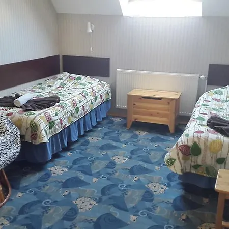 酒店 特尔斐旅舍 派尔努